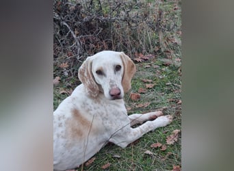 Alice – eine zarte Seele, die endlich ankommen möchte