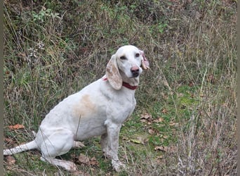 Alice – eine zarte Seele, die endlich ankommen möchte