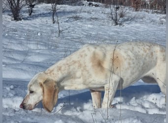 Alice – eine zarte Seele, die endlich ankommen möchte