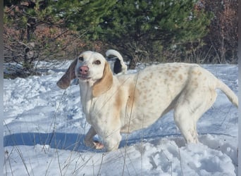 Alice – eine zarte Seele, die endlich ankommen möchte