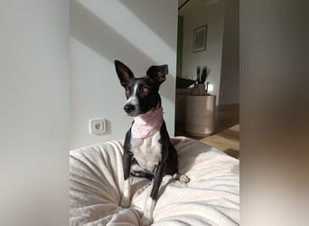 Aktive Berta wartet in 52385 Nideggen auf dich!