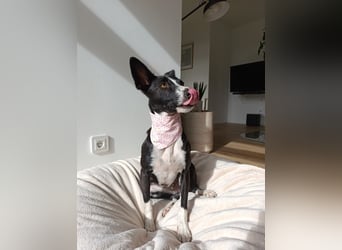 Aktive Berta wartet in 52385 Nideggen auf dich!