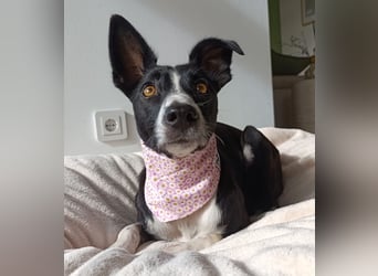 Aktive Berta wartet in 52385 Nideggen auf dich!