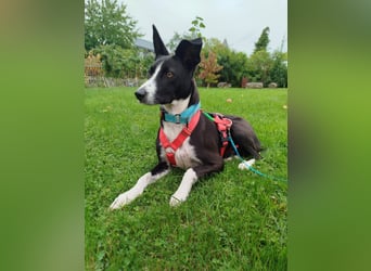 Aktive Berta wartet in 52385 Nideggen auf dich!