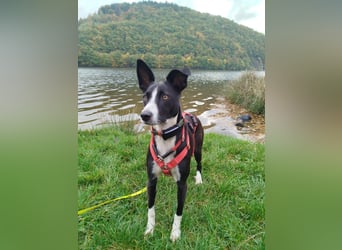 Aktive Berta wartet in 52385 Nideggen auf dich!