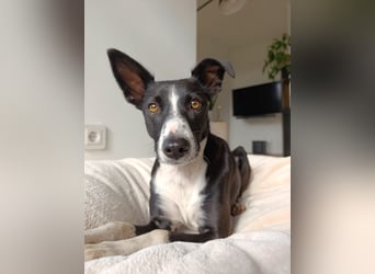 Aktive Berta wartet in 52385 Nideggen auf dich!