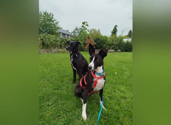 Aktive Berta wartet in 52385 Nideggen auf dich!