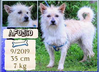 WUSCHEL AFONSO - - will wieder Vertrauen - - lieben und geliebt werden
