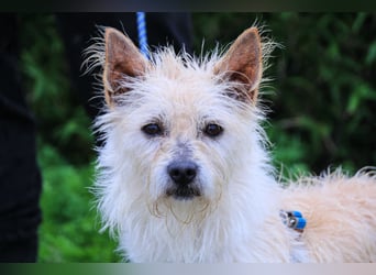 WUSCHEL AFONSO - - will wieder Vertrauen - - lieben und geliebt werden