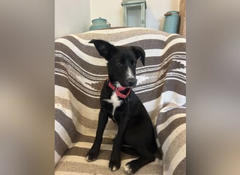 Zurückhaltende Felia sucht erfahrene Menschen für den Start in ein neues Leben