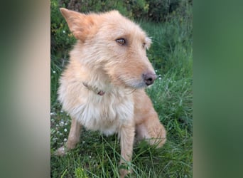 Sanfte Ava wartet in Portugal auf ihr Happy End!