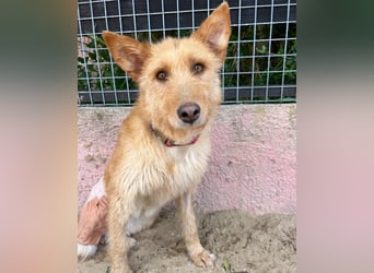 Sanfte Ava wartet in Portugal auf ihr Happy End!