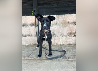 Zurückhaltende Felia sucht erfahrene Menschen für den Start in ein neues Leben