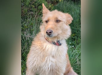 Sanfte Ava wartet in Portugal auf ihr Happy End!