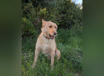 Sanfte Ava wartet in Portugal auf ihr Happy End!