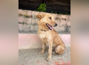 Sanfte Ava wartet in Portugal auf ihr Happy End!