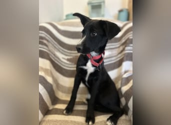 Zurückhaltende Felia sucht erfahrene Menschen für den Start in ein neues Leben