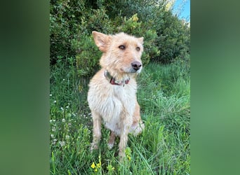 Sanfte Ava wartet in Portugal auf ihr Happy End!