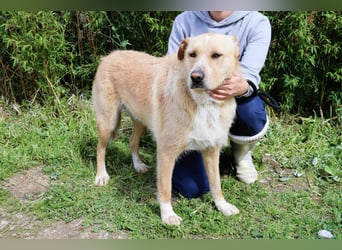 Moony ❤️ Ruhig und Gemütlich ❤️ Gesellig und  Katzenfreundlich