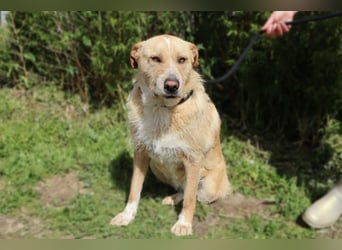 Moony ❤️ Ruhig und Gemütlich ❤️ Gesellig und  Katzenfreundlich