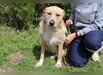 Moony ❤️ Ruhig und Gemütlich ❤️ Gesellig und  Katzenfreundlich
