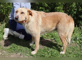 Moony ❤️ Gemütlich und Katzenfreundlich