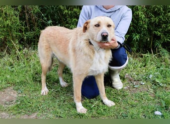 Moony ❤️ Gemütlich und Katzenfreundlich