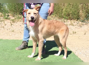 Moony ❤️ Gemütlich und Katzenfreundlich