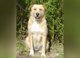 Moony ❤️ Gemütlich und Katzenfreundlich