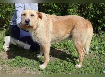 Moony ❤️ Gemütlich und Katzenfreundlich