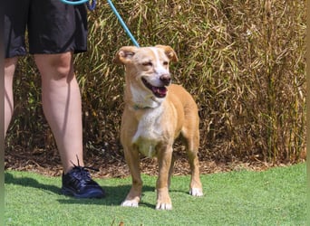 SENIOR YUPI ✴️ will als Einzelprinz einziehen