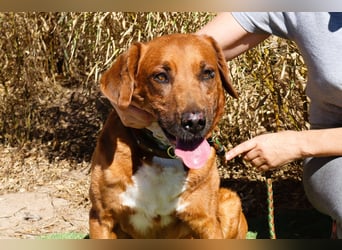 Ruhig *Lieb* Verschmust * SENIOR WIZZ *