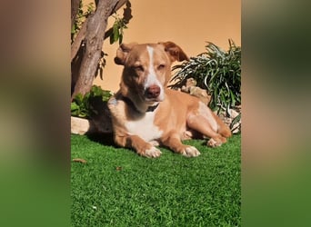 SENIOR YUPI ✴️ will als Einzelprinz einziehen