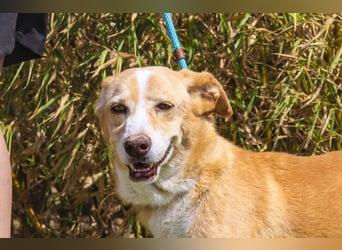 SENIOR YUPI ✴️ will als Einzelprinz einziehen