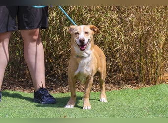 SENIOR YUPI ✴️ will als Einzelprinz einziehen