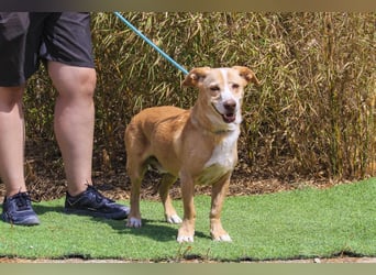 SENIOR YUPI ✴️ will als Einzelprinz einziehen