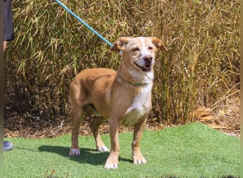 SENIOR YUPI ✴️ will als Einzelprinz einziehen