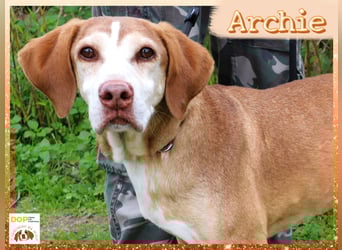 Senior ARCHIE hat ein Handicap und  sucht Menschen mit ❤️