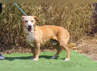 SENIOR YUPI ✴️ will als Einzelprinz einziehen