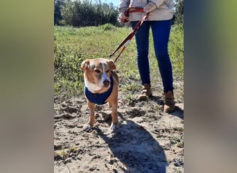 SENIOR YUPI ✴️ will als Einzelprinz einziehen