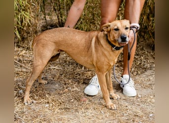 Ein Zuhause für die Liebe ❣️ Terry wird gesucht