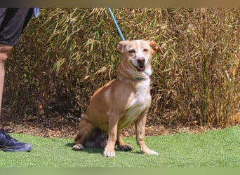 SENIOR YUPI ✴️ will als Einzelprinz einziehen