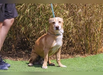 SENIOR YUPI ✴️ will als Einzelprinz einziehen