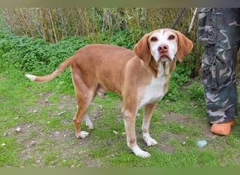 ARCHIE hat ein Handicap - Senior ARCHIE sucht Menschen mit ❤️