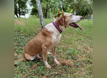 Uschi eine wundervolle Seele