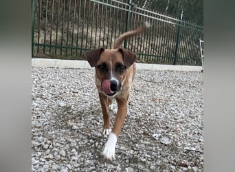 Coop ein wundervolles Wesen