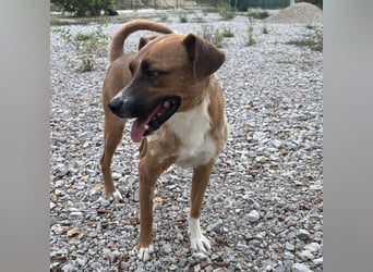 Coop ein wundervolles Wesen