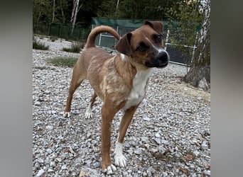 Coop ein wundervolles Wesen