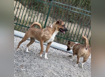 Coop ein wundervolles Wesen