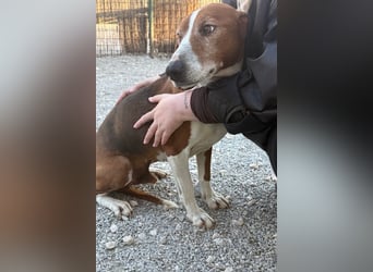 Kleppo ❤️ so menschenbezogen + schmusig